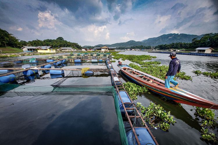 Keramba Jaring Apung (KJA) milik Mamat (60) berdiri di tengah perairan waduk Saguling, Kabupaten Bandung Barat (KBB), Jawa Barat.