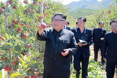 PBB: Panen Korea Utara Capai Titik Terendah dalam Satu Dekade