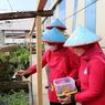 Usung Konsep Urban Farming, Rooftop Kantor Kecamatan Jakarta Utara Dijadikan Lahan Bercocok Tanam