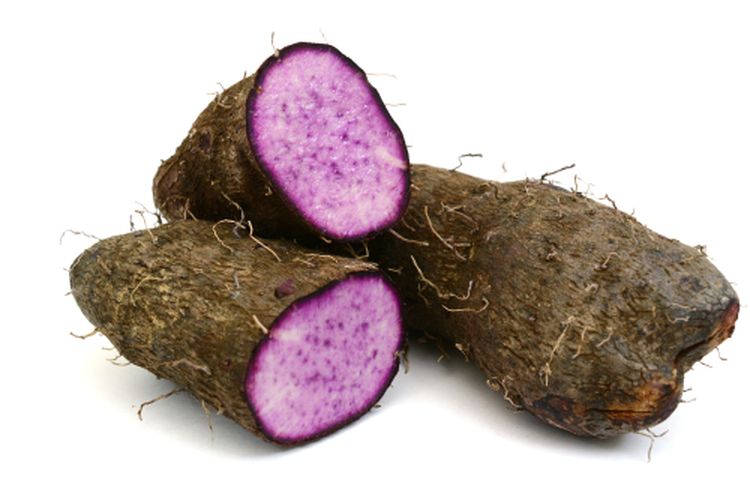 Ilustrasi umbi uwi, Dioscorea alata