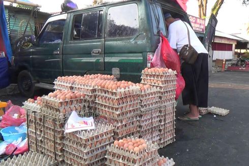 Harga Telur Ayam di Pangkal Pinang Capai Rp 1.700 per Butir