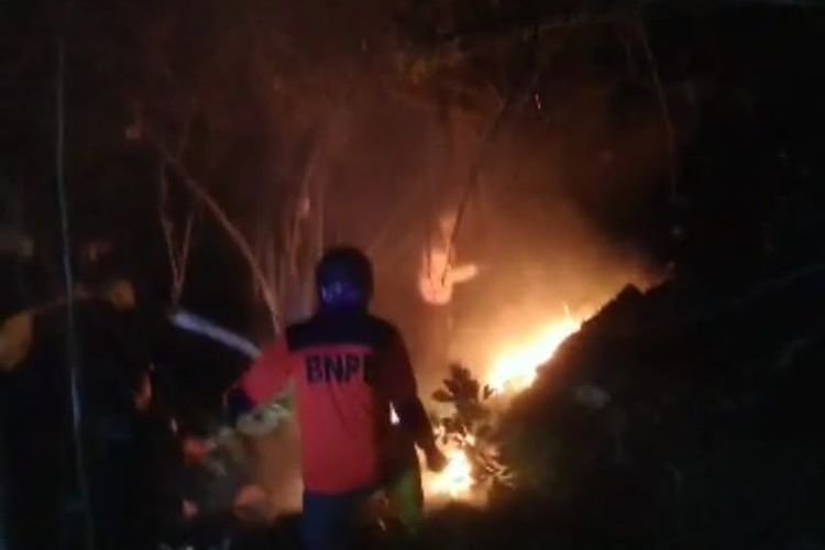 Foto: Kebakaran hutan di Desa Pasir Putih, Kecamatan Bungatan, Kabupaten Situbondo, Provinsi Jawa Timur pada Minggu (23/7/2023) malam.