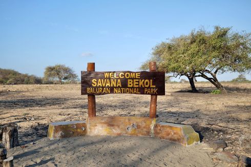 Menikmati Sunset di Taman Nasional Baluran, Sepotong Afrika di Jawa