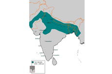Sejarah Singkat Kekaisaran Sur di India