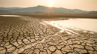El Nino 'Godzilla' Ancam 815 Desa dan 921 Ribu Hektare Lahan di Jatim, Ini Strateginya