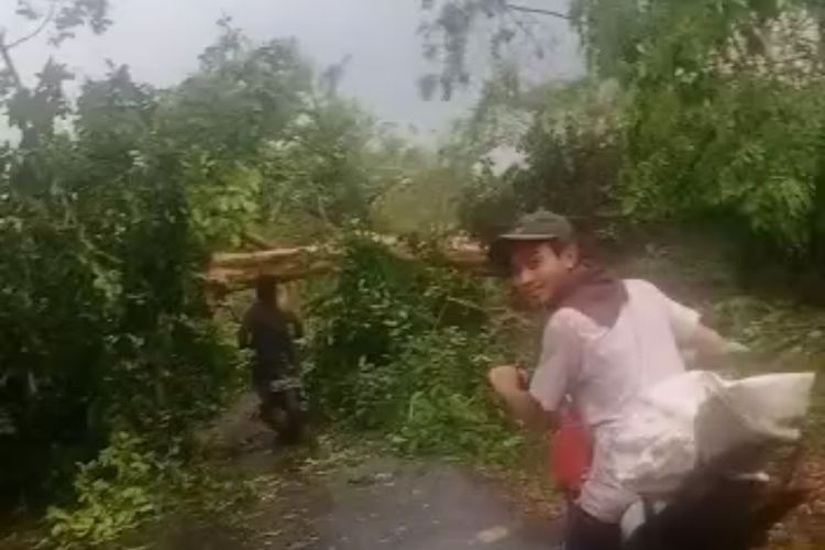 Pohon tumbang mengakibatkan jalan hubung Desa Sumberbendo-Tulung, Kecamatan Saradan, Kabupaten Madiun, Jawa Timur tertutup. Beberapa pohon tumbang setelah bencana hujan disertai angin kencang melanda Kabupaten Madiun, Minggu (17/10/2021) sore.