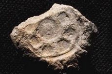 Siswa, Yuk Belajar Zaman Batu Paleolithikum