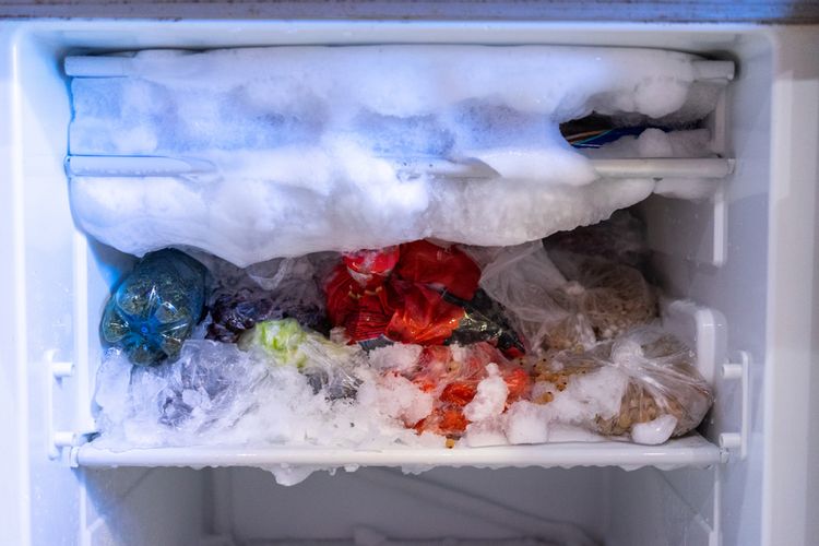 Ilustrasi bunga es di freezer.