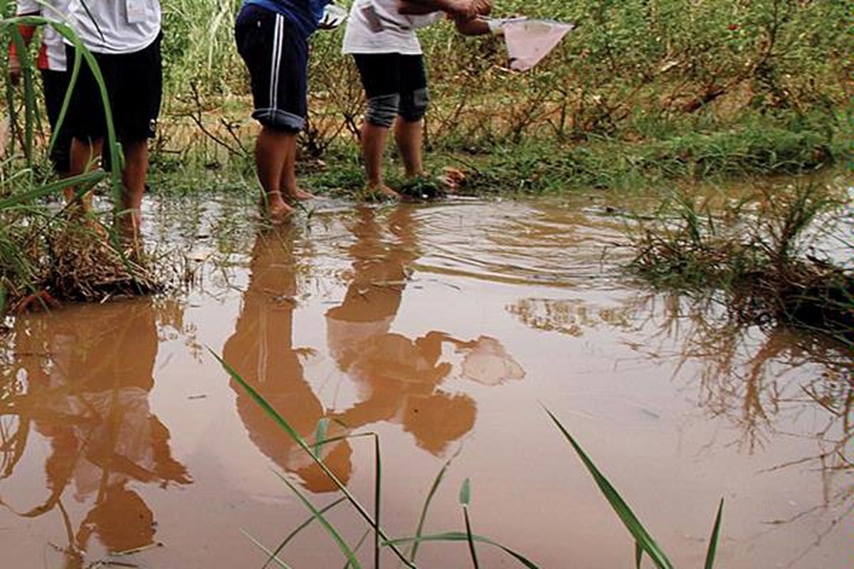 Pelajar SMP dan SMA mengikuti kegiatan pengujian kualitas air Sungai Pesanggrahan yang melalui kawasan Hutan Kota Srengseng, Jakarta, Minggu (5/6). Kegiatan yang diselenggarakan manajemen sebuah bank swasta dan sebuah radio swasta itu juga dimaksudkan untuk meningkatkan kepedulian pelajar terhadap lingkungan.