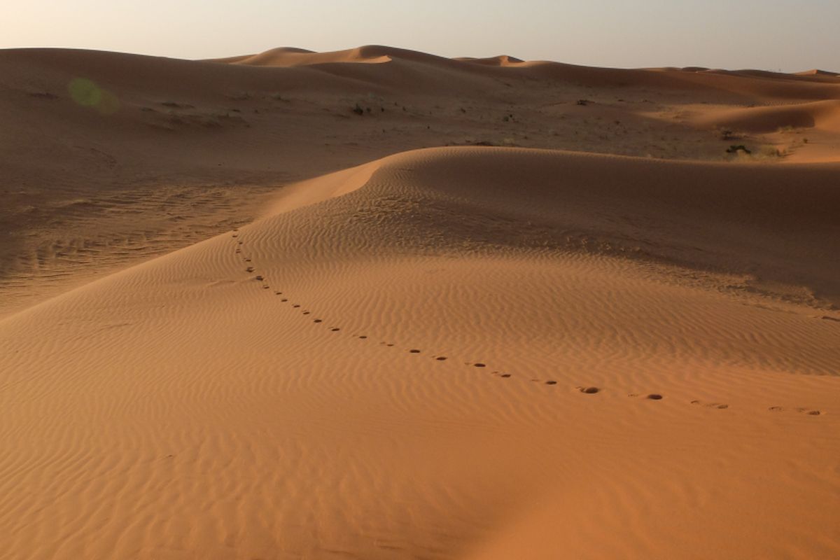 Padang pasir An Nafud atau Nefud
