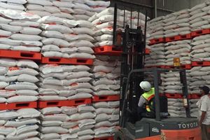 Produksi Beras 2025 Diproyeksikan Naik 4,1 Juta Ton Tanpa Impor