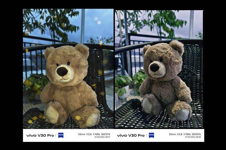 Kiri ke kanan, Hasil foto Vivo V30 Pro dengan efek bokeh dan filter Zeiss