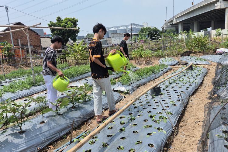 Kala Gen Z di Jakut Pensiun Tawuran karena Jadi Petani 