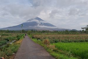 Update Erupsi Gunung Semeru: 3 Warga Luka Bakar, Radius 20 Km Dikosongkan 