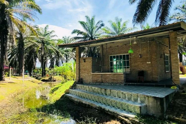 Sebuah rumah pensiun untuk anak muda yang ingin kabur dari kenyataan dibuka di Gopeng, Perak, Malaysia. 