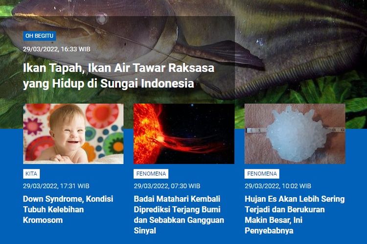Tangkapan layar berita populer Sains sepanjang Selasa (28/3/2022) hingga Rabu (30/3/2022). Di antaranya, ikan tapah hidup di sungai di Indonesia, Down Syndrom, badai Matahari kembali terjang Bumi, hujan es akan lebih sering terjadi.