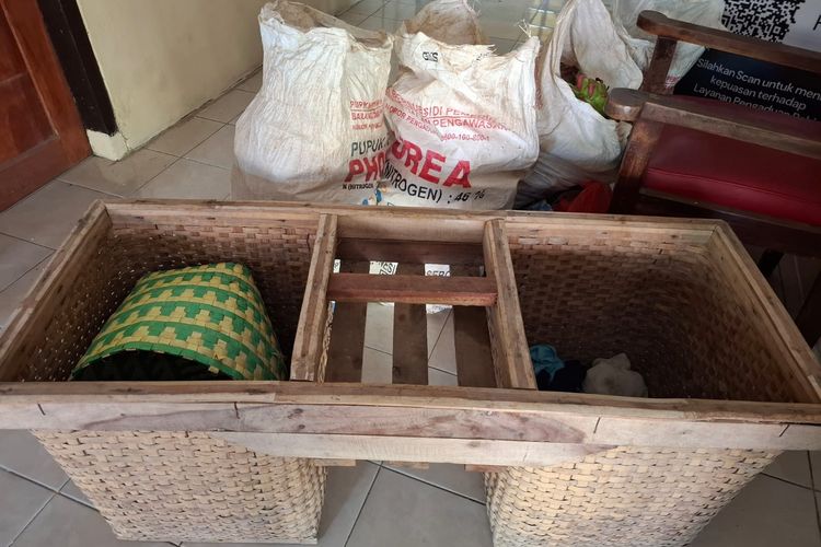 Ketahuan Curi Buah Naga, Pria di Banyuwangi Diarak Keliling Desa