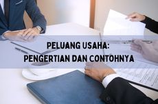 Peluang Usaha: Pengertian dan Contohnya