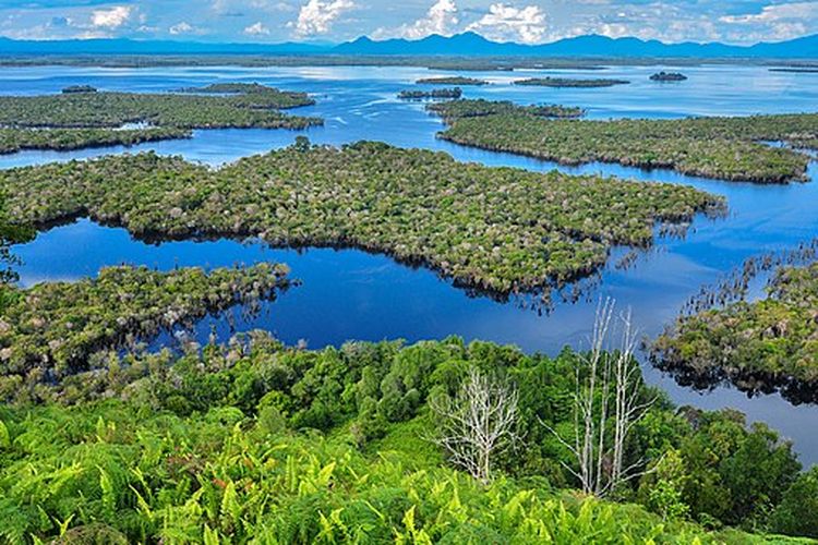 Danau Sentarum, obyek utama Taman Nasional Danau Sentarum, Kalimantan Barat.