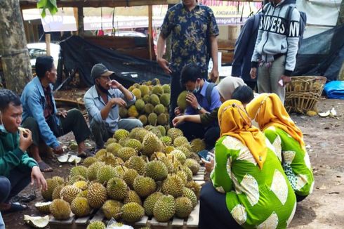 Durian Luna Maya di Kendal Dicari karena Manis dan Legit