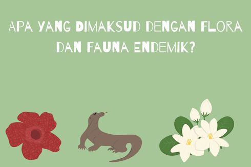 Apa yang Dimaksud dengan Flora dan Fauna Endemik?