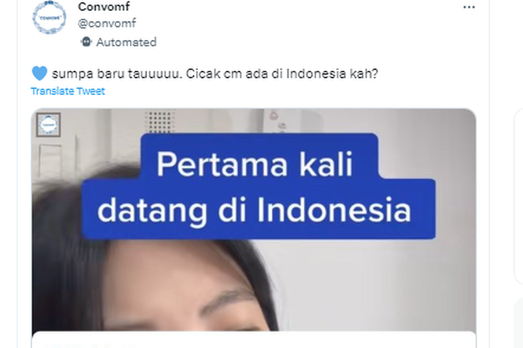 Tangkapan layar twit soal cicak hanya ada di Indonesia