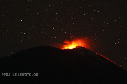 Aktivitas Vulkanik Gunung Ile Lewotolok Meningkat, Tercatat 8 Kali Letusan