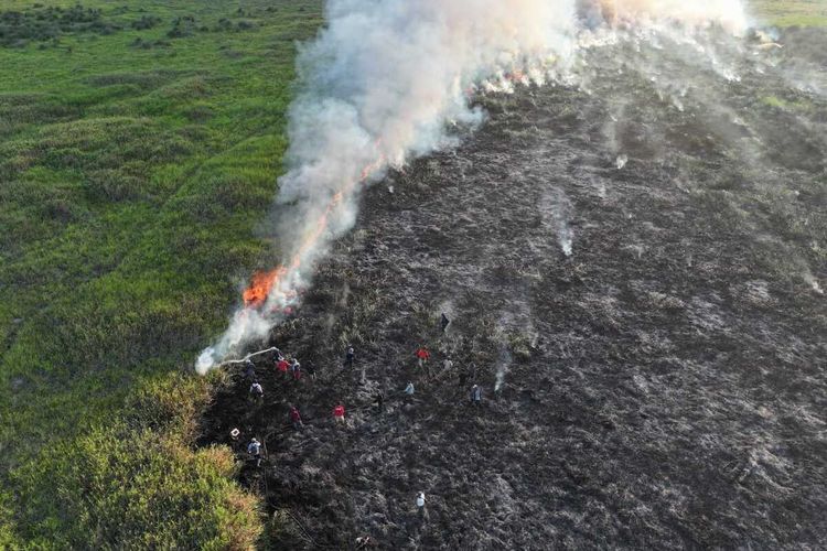 Kualitas Udara Memburuk, Dinkes Sumsel Minta Kurangi Aktivitas Luar Rumah