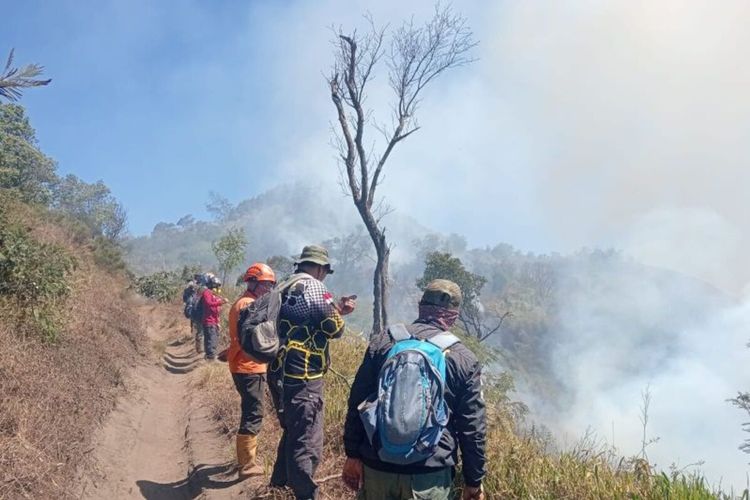 Masih Ada 3 Titik Api di Gunung Bromo, Khofifah Targetkan Kebakaran Padam Besok