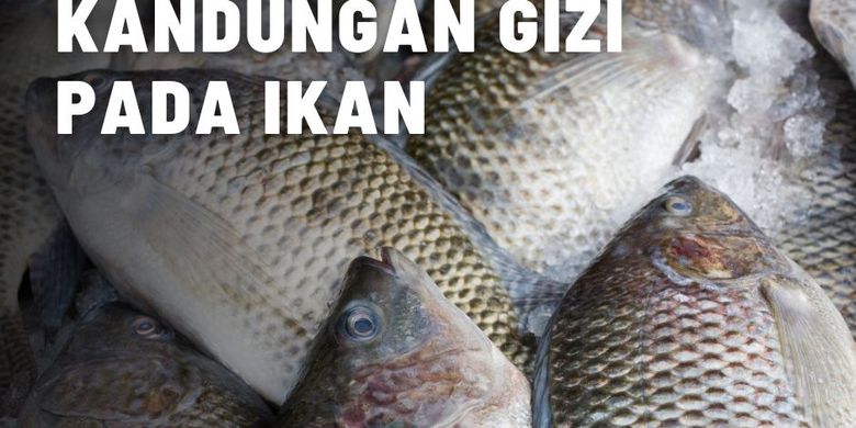 Ketahui Kandungan Gizi Pada Ikan Konsumsi