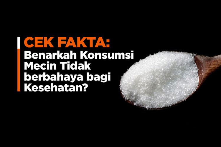 Cek Fakta: Benarkah Konsumsi Mecin Tidak berbahaya bagi Kesehatan?