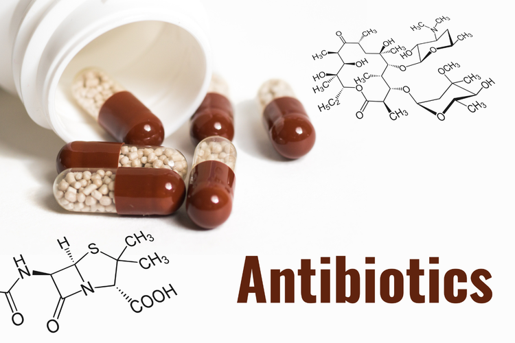 Ilustrasi mikroorganisme penghasil antibiotik 