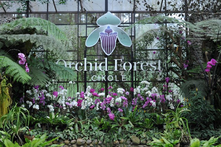 Orchid Forest Cikole, Bandung.