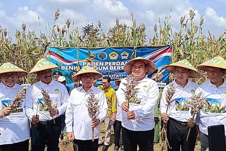 Menteri Yandri Sebut Sorgum Bisa Jadi Solusi Pangan dan Pendapatan Desa