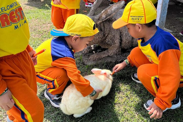 Anak-anak bermain bersama kelinci di Sui Farm Malang