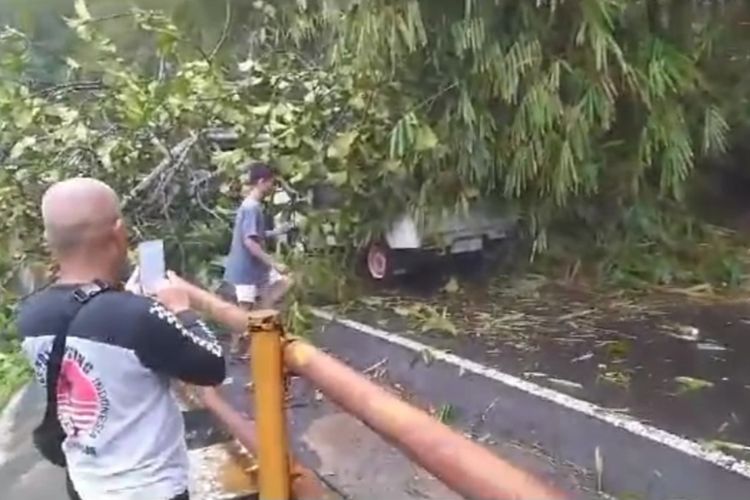 Pohon peusar dan bambu timpa 3 kendaraan di Jalan Bandung-Cirebon, kawasan Cadas Pangeran, Sumedang, Jabar, Rabu (6/12/2023) sore. AAM AMINULLAH/KOMPAS.com