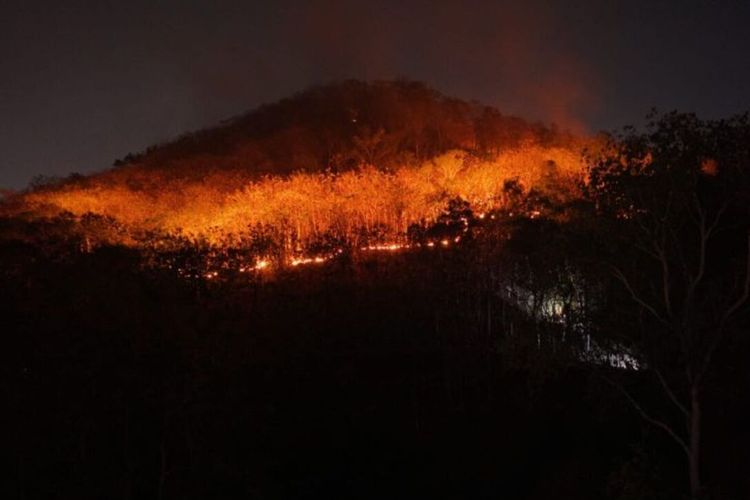 Gunung Gombak di Ponorogo Terbakar, 15 Hektare Lahan dan Hutan Hangus