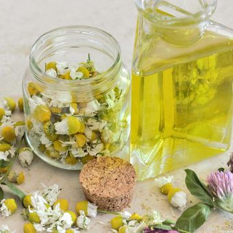 Ilustrasi essential oil chamomile. Essential oil ini dapat membantu tidur lebih nyenyak. 