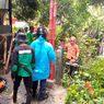 Angin Kencang Terjang 25 Lokasi di Bogor Raya, 2 Pemotor Tertimpa Pohon Tumbang