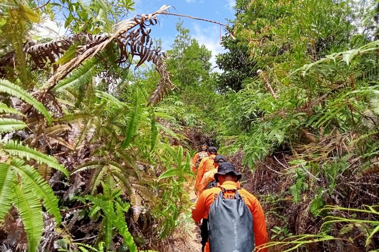 Tim SAR kota Tarakan Kaltara, masuk hutan menyusuri jejak warga Tarakan yang dilaporkan hilang di hutan Gunung Selatan