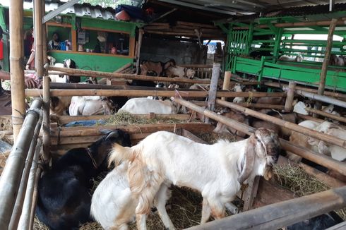 Ini Protokol Kesehatan Shalat Idul Adha dan Penyembelihan Hewan Kurban di Bekasi