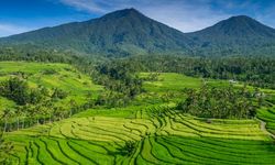 World Water Forum di Bali Bentuk Kemitraan Konservasi Air Global