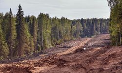 Aturan Baru Uni Eropa soal Deforestasi Bakal Ubah Pasar Kopi Dunia