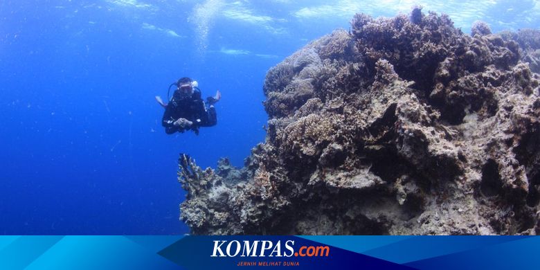 7 Rekomendasi Tempat Wisata Kolaka Pulau Padamarang Hingga Danau Biru Halaman All Kompas Com