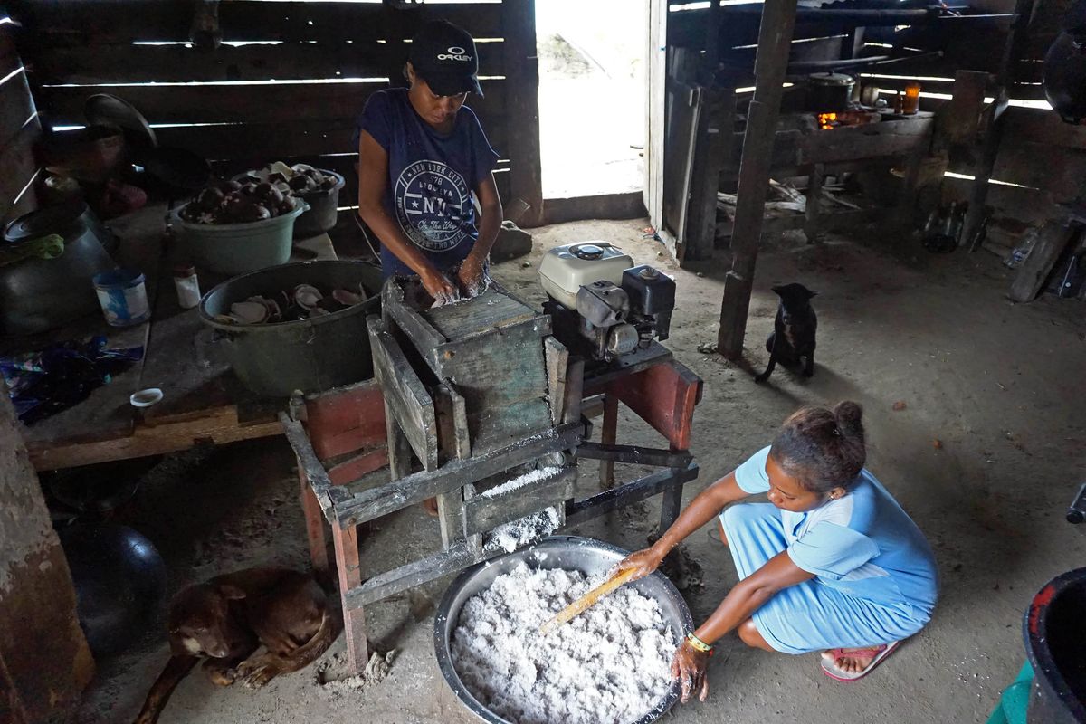 Warga memarut kelapa menggunakan mesin di Kampung Atkari, Distrik Misol Utara, Kabupaten Raja Ampat, Kamis (4/2/2021). Warga yang tinggal di daerah Terpencil, Terdepan dan Terluar (3T) melakukan berbagai aktivitas keseharian guna menyambung hidup dengan fasilitas kelistrikan yang belum memadai, dari data Bappenas setidaknya 102 Kampung di Papua Barat belum dialiri listrik. ANTARA FOTO/Olha Mulalinda/foc.