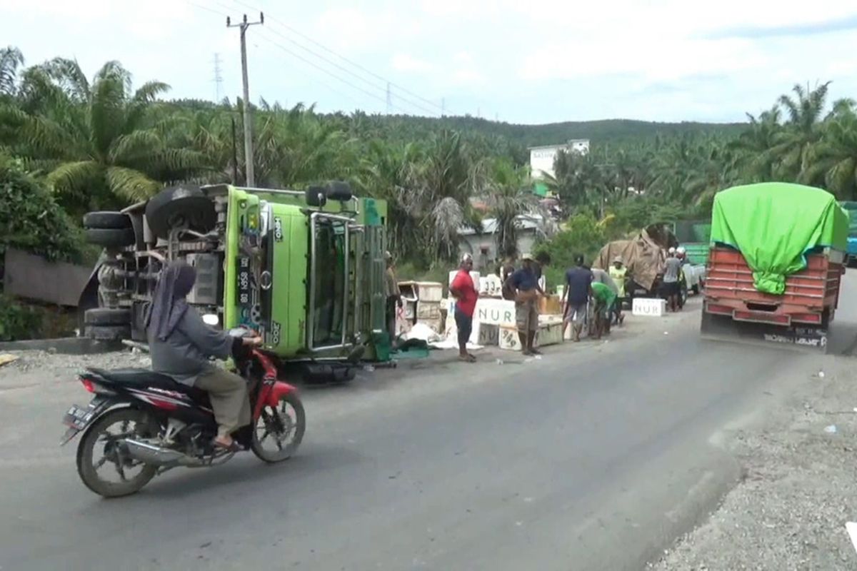 Truk Terguling di Tanjakan, Ratusan Kardus Ikan Ekspor Membusuk di Jalan *** Local Caption *** Truk Terguling di Tanjakan, Ratusan Kardus Ikan Ekspor Membusuk di Jalan