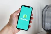 2 Cara Mengatasi WhatsApp Diblokir Sementara dengan Mudah, Jangan Panik