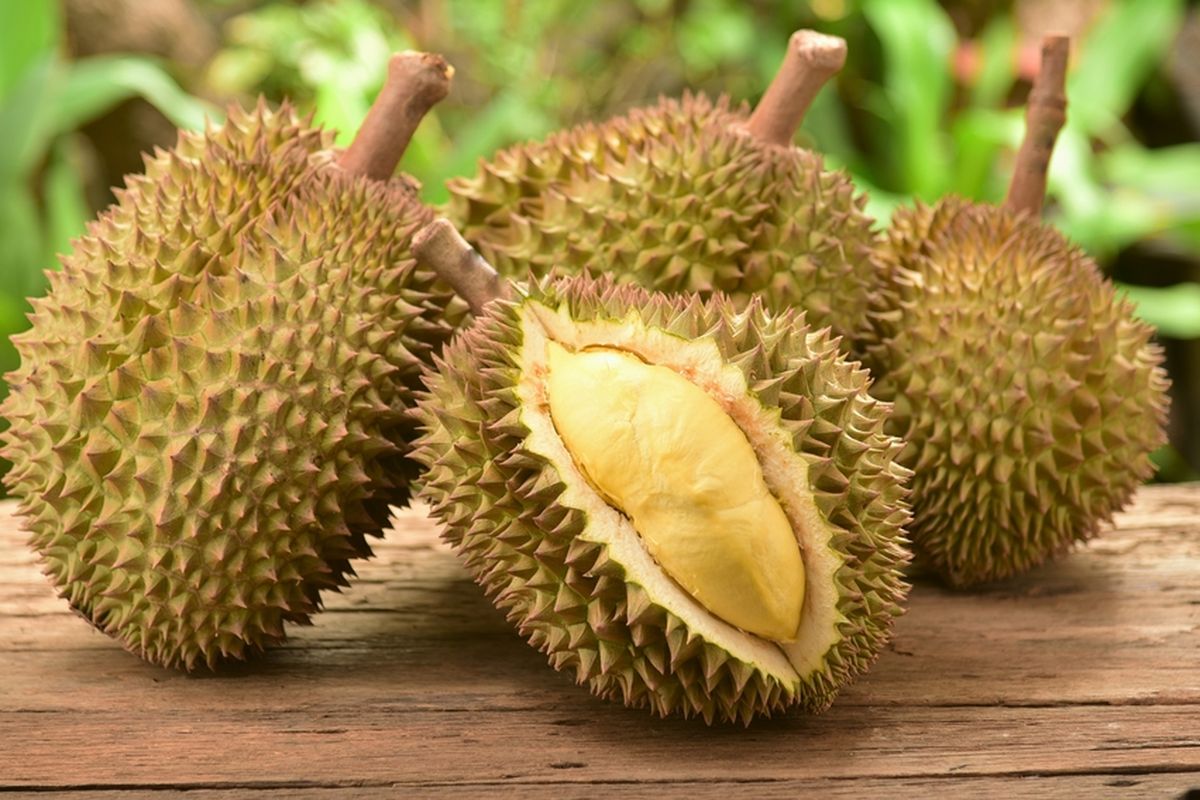 Ilustrasi buah durian.