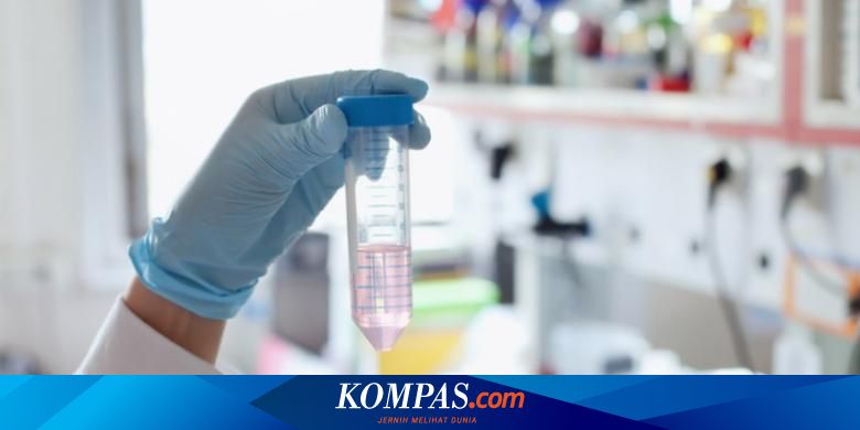 Kenapa Indonesia Tak Maju Maju Dalam Sains Dan Teknologi Halaman All Kompas Com