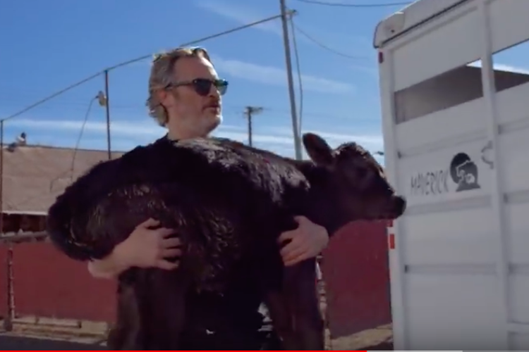 Tangkapan layar YoutTube farmsanctuary yang menunjukkan aksi Joaquin Phoenix menyelamatkan anak sapi